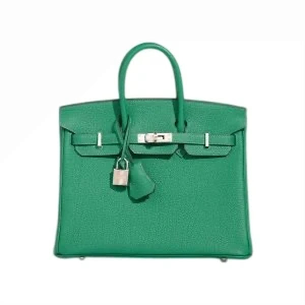 BIRKIN 25 VEAU TOGO VERT VERTIGO PHW