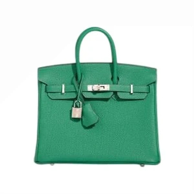 BIRKIN 25 VEAU TOGO VERT VERTIGO PHW